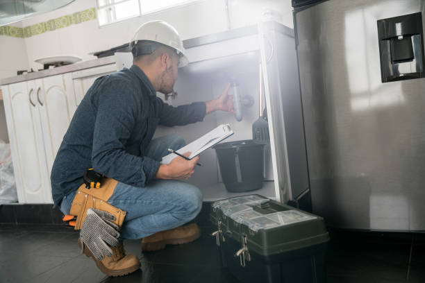 Best Plumbing Repair Near Me  in Wyandotte, MI