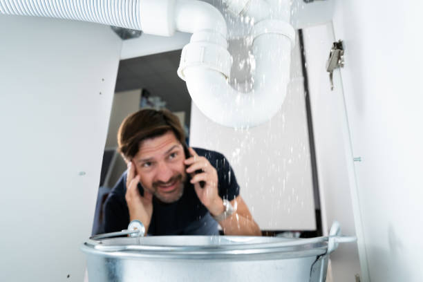 Best Commercial Plumbing Services  in Wyandotte, MI