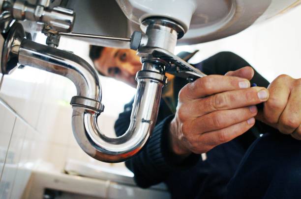 Best Local Plumber Services  in Wyandotte, MI