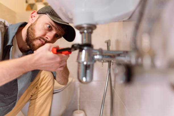 Best Residential Plumbing Services  in Wyandotte, MI