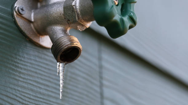 Best Sprinkler Systems  in Wyandotte, MI