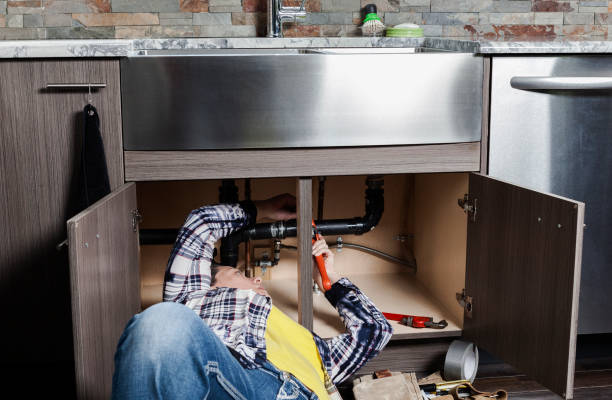 Best Affordable Plumber Near Me  in Wyandotte, MI